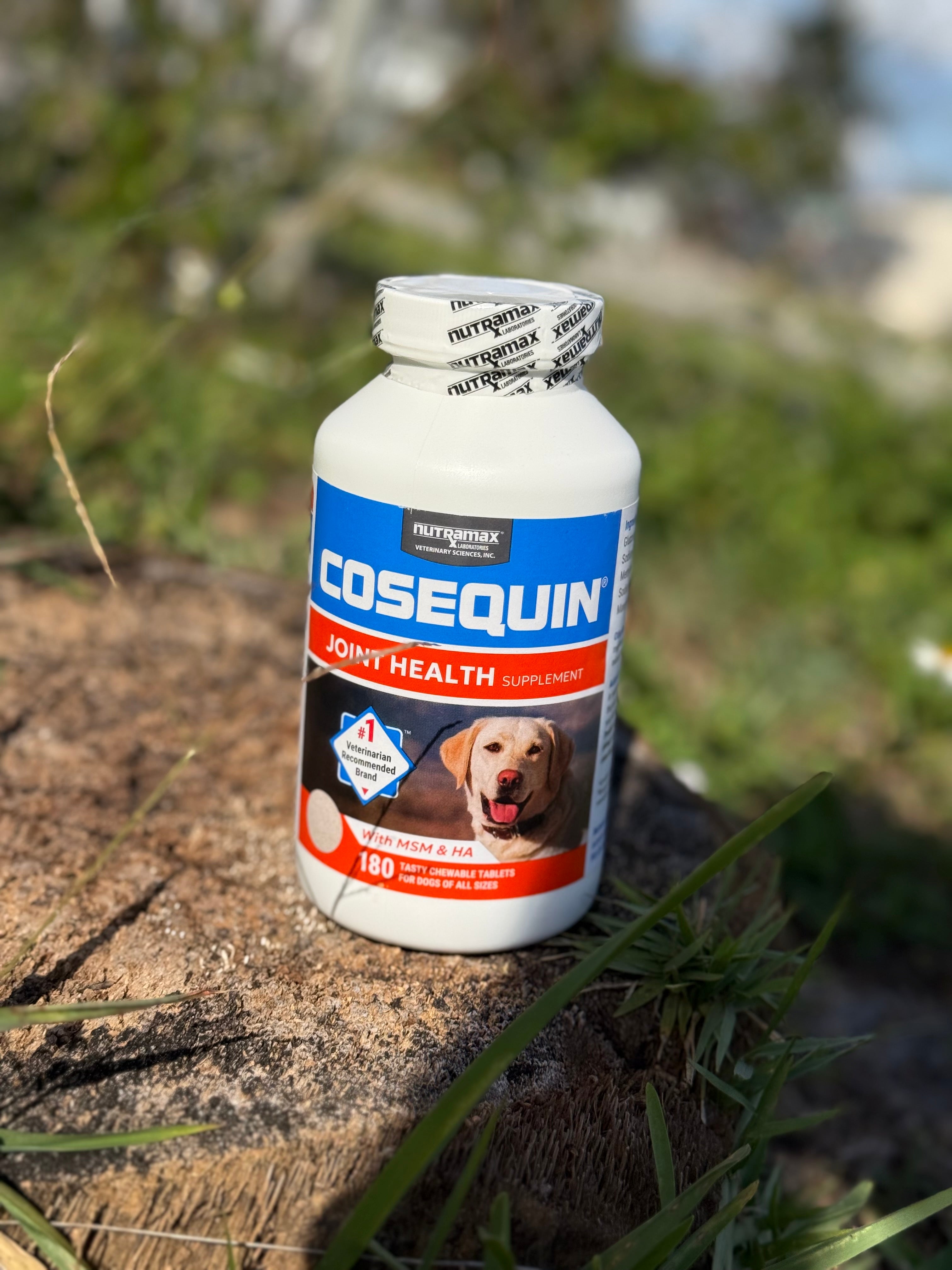 Cosequin Maximum Strength Plus MSM – 180 Tabletas Masticables 🦴🇺🇸