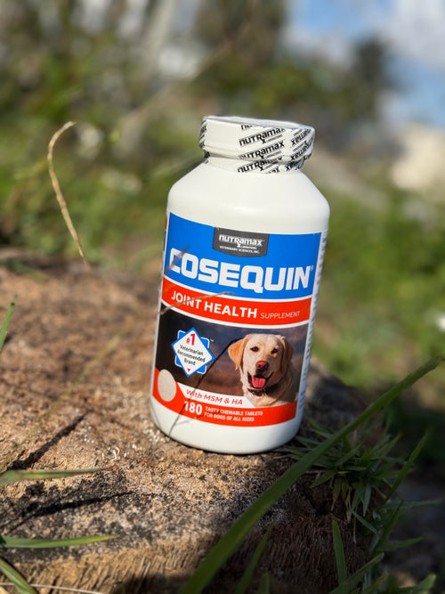 Cosequin Maximum Strength Plus MSM – 180 Tabletas Masticables 🦴🇺🇸
