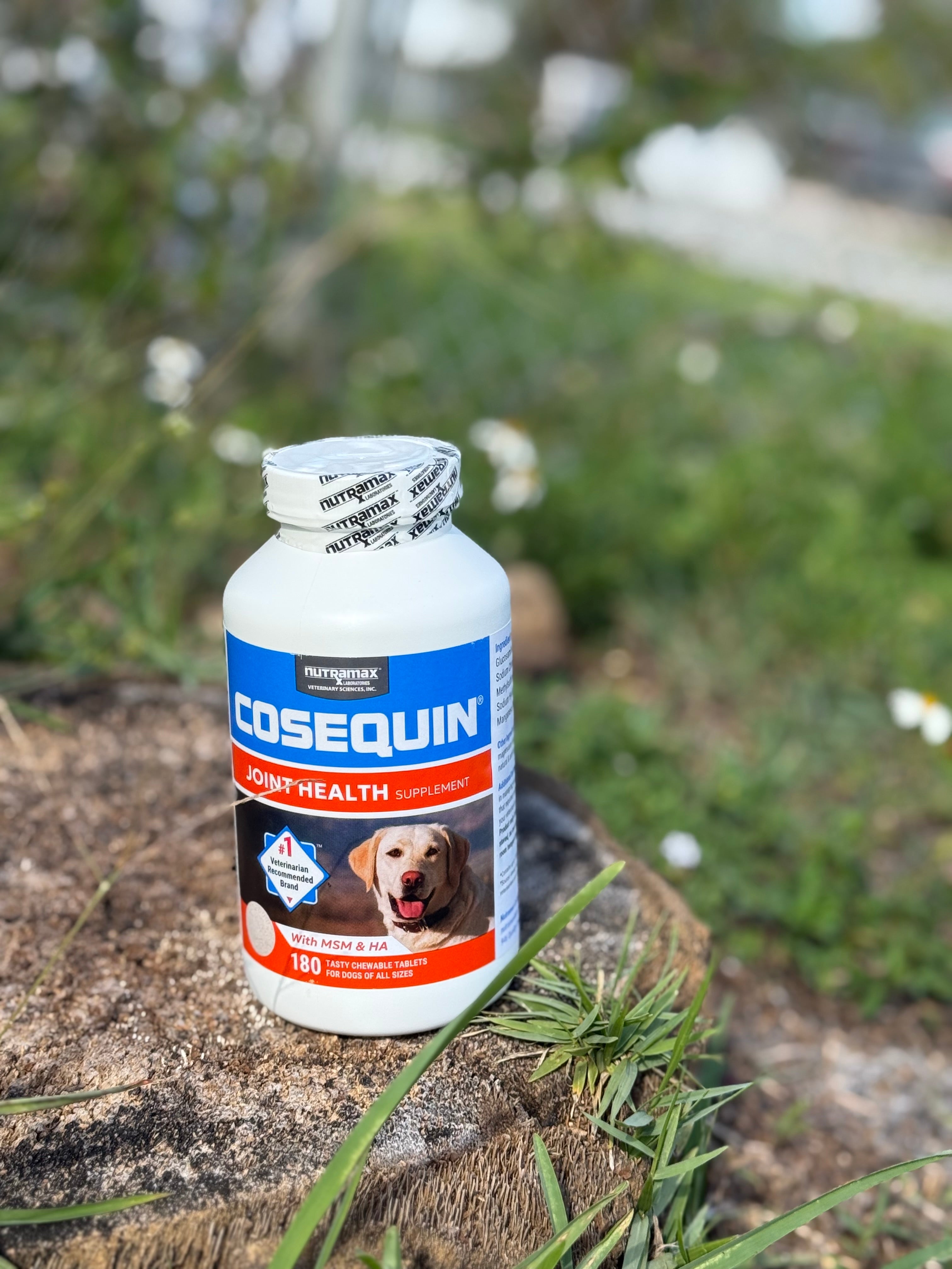 Cosequin Maximum Strength Plus MSM – 180 Tabletas Masticables 🦴🇺🇸
